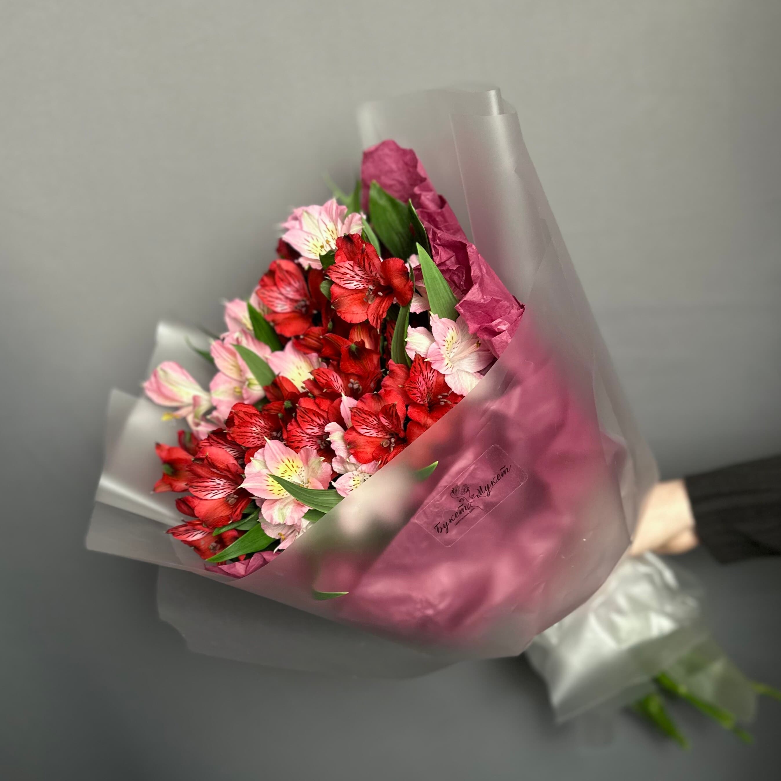 Миниатюра 3